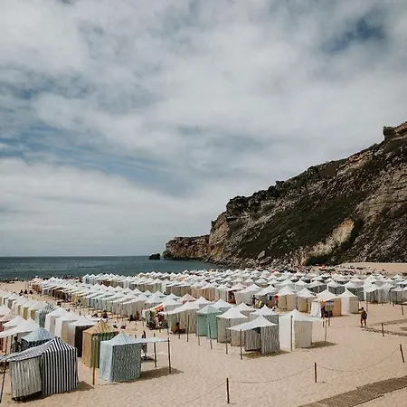 ヴィラ Casa Do Rabana レイリア